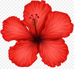 Red Flower clipart - Flower, Red, Hibiscus, transparent clip art