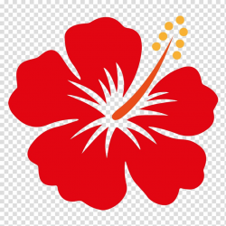Red hibiscus flower illustration, Hawaii Shoeblackplant ...