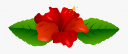 Red Hibiscus Transparent Png Clip Art Imageu200b Gallery ...