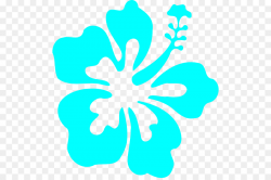 Hibiscus Schizopetalus Hawaiian Hibiscus Alyogyne Huegelii ...