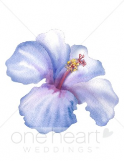 Hibiscus Clipart | Flower Clipart