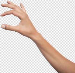Person\'s right hand, Holding hands Icon, Hands Hand ...