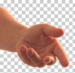 2,221 hand Image Free PNG cliparts for free download | UIHere