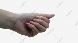 Gesture Finger Palm Left Hand, Gesture, Finger, Palm PNG ...
