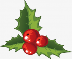 Holly Decorations For Christmas, Holly Clipart, Christmas ...