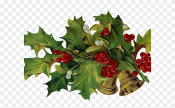 Holley Clipart Victorian - Christmas Holly 5\'x7\'area Rug - Png ...