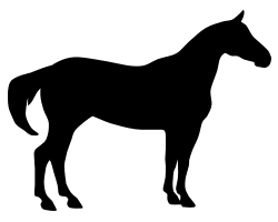 Free Free Images Of Horses, Download Free Clip Art, Free Clip Art on ...