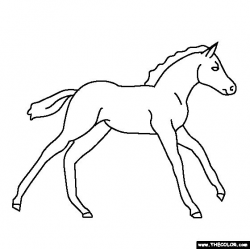 Baby Horse Clipart Black And White