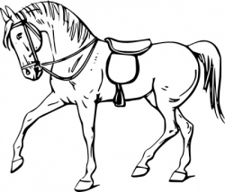 Best Horse Clipart Black and White #28968 - Clipartion.com