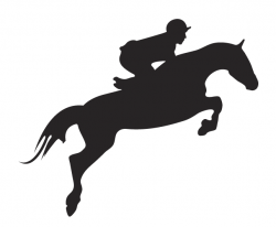 Clipart Jumping Horse And Jockey In Horse Jumping Vector ...