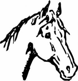 Free Horse Jumping Clipart, Download Free Clip Art, Free ...
