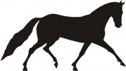 Free Dressage Horse Silhouette, Download Free Clip Art, Free Clip ...