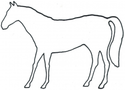 Free Horse Outline Images, Download Free Clip Art, Free Clip Art on ...