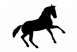Printable Horse Silhouette - Appaloosa Horse Clipart Art Free PNG ...
