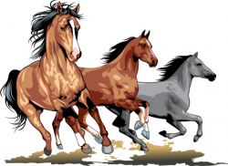 Realistic running horses vector graphics Free vector in Encapsulated ...