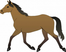 Best Running Horse Clipart #29003 - Clipartion.com