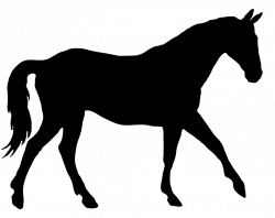 Horse Silhouette