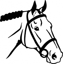 Clip art: A simple but nice line drawing of a Thoroughbred (or TB ...