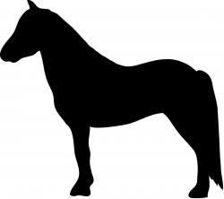 Horse Silhouette