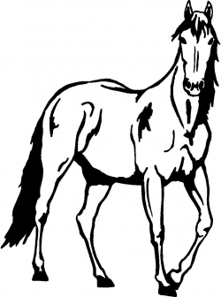 Standing Horse Wall Decal | Wood working/Scroll Saw | Horse wall ...
