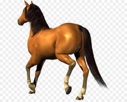 Horse clipart transparent background 2 » Clipart Station