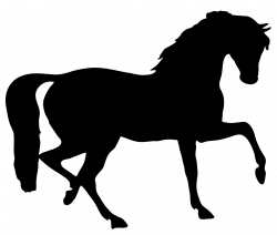 Free Horse Cliparts Transparent, Download Free Clip Art, Free Clip ...