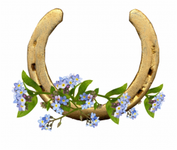 Horse Shoe Forget Me Not Flowers - Forget Me Nots Transparent ...