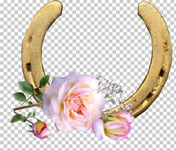 Horseshoe Pony Rose PNG, Clipart, Animals, Body Jewelry, Floral ...