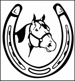 Why Are Horseshoes Considered Lucky? - A Celtic Tale | Horse Stuff ...