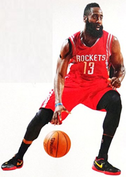 Amazon.com: FATHEAD James Harden Mini Graphic Houston ...