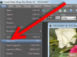 How to Create a Transparent PNG File With Paint Shop Pro: 5 ...