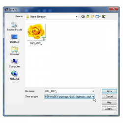 How to Save Images with Transparent Background in Paint Shop ...