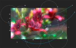 How to Create Realistic Bokeh and Blur Effects using Photoshop