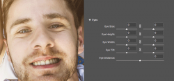 Use the Liquify filter in Adobe Photoshop