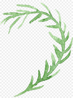 Watercolor painting Transparency and translucency Flower ...