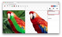 How to Remove Image Background Like a Pro