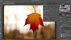How to Make a Background Transparent in Photoshop | Digital ...