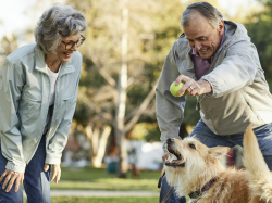 Shop Medicare insurance, Medicare Advantage plans - Humana