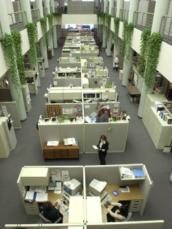 Humana casts massive shadow over Louisville real estate ...