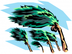 Free Animated Hurricane Cliparts, Download Free Clip Art ...