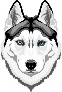 Siberian Husky Clipart