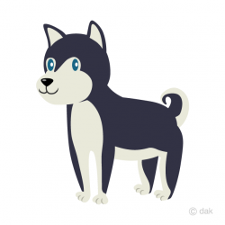 Free Cute Siberian Husky Clipart Image｜Illustoon