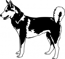Free Siberian Husky Cliparts, Download Free Clip Art, Free ...