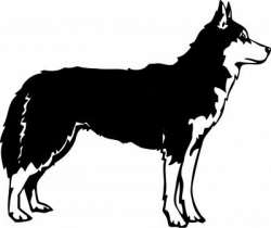 Free Siberian Husky Cliparts, Download Free Clip Art, Free ...
