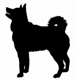 Siberian Husky Wall Plaque #siberianhusky | Husky, Dog ...