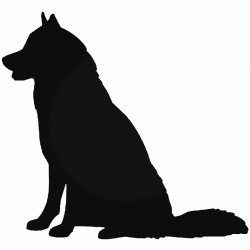 Silhouette Of A Husky Dog