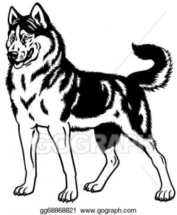 Vector Illustration - Siberian husky black white . EPS ...