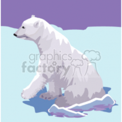 Polar bear seated on the ice clipart. Royalty-free clipart # 130103