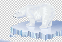 Polar bear Arctic North Pole Los osos polares, polar bear ...