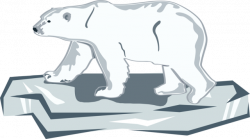 Download Clipart Transparent Stock Day - Polar Bear On Ice ...